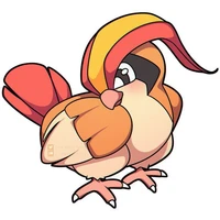 Pidgeot