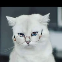 [ hệ thống ] haki