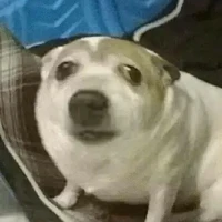 nhân vật nhiều vai