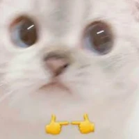 An