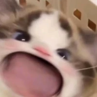 Nhi