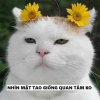 Bà t/g xênh chẹp nhất quả đất