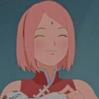 uzumaki/ haruno sakura