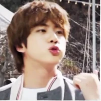 Kim Seokjin( công2 )