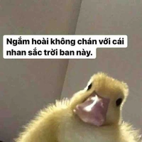 Nhân vật qua đường 