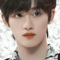 Đinh Trình Hâm ( anh ) 🦊