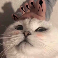 Coan Tác Giả Cute =))