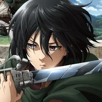 mikasa