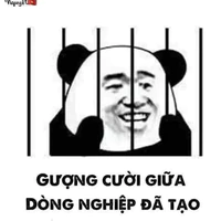 đội bình dân