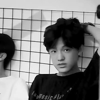 Trương Trạch Vũ