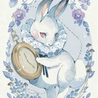 013 - Mr. Rabbit