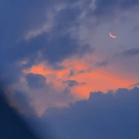 Con tg bị trầm kẻm