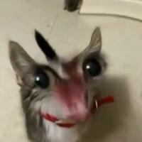 nhỏ thêm văn =))