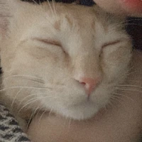 t/g mất góc Địa=)