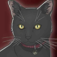 Black Cat