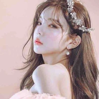 Lee Y/n (nữ chính)
