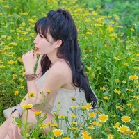 Yến Xôi