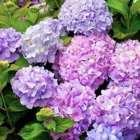 all