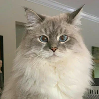 Muriel