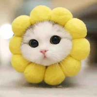 Hệ thống 001_Bông