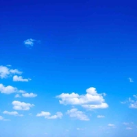 Đa nv