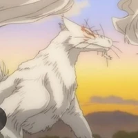 Madara 