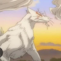Madara 
