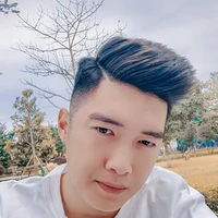 Việt Hoàng
