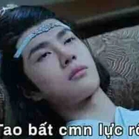 Đa nhân vật 