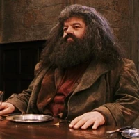 Rubeus Hagrid