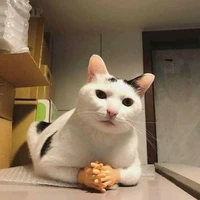 all công
