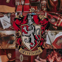 HS nhà Griffindor