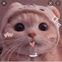 Mie