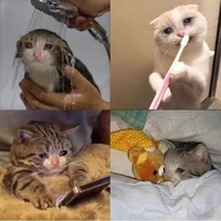 Sát boi của lớp