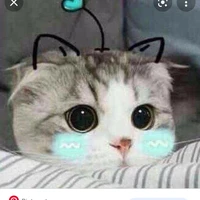 Ry.tác giả