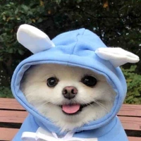 Nuly