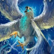 Four Wings