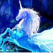 Ponyta