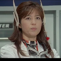 Shiratori Swan