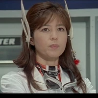 Shiratori Swan