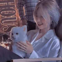 Việt An Vy ( bn nó)