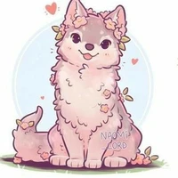 Hayakipi nako/lalu‹kiki›