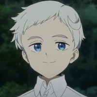 Norman(22194)