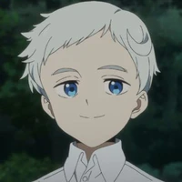 Norman(22194)