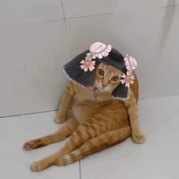 Hai chj e