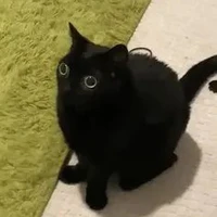 ???