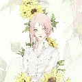 HARUNO SAKURA