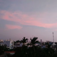 t/g nghiện Dream