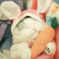 tác giả cute
