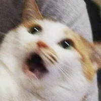 Tác giả chơi hệ AllMain=))